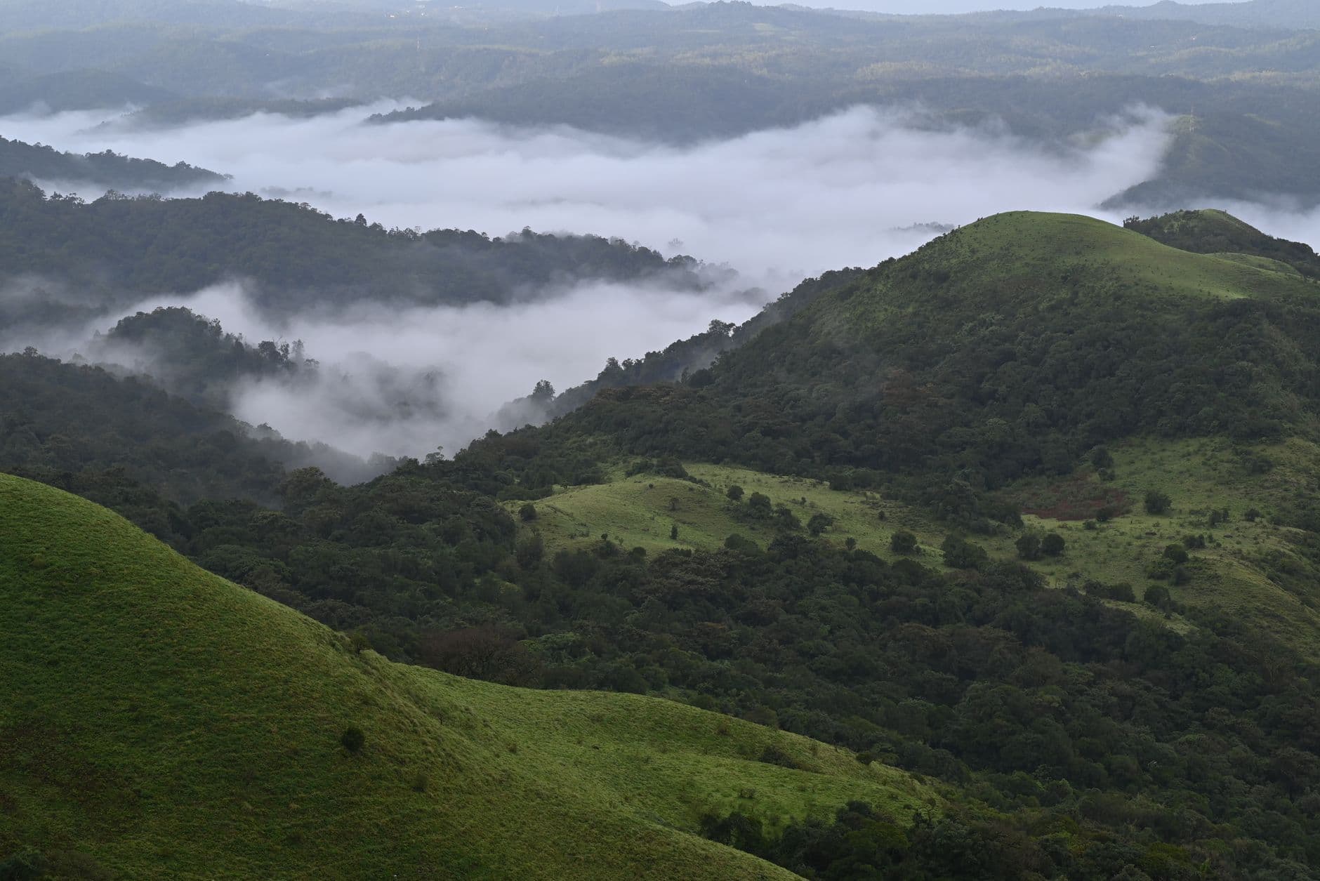 Green forested hills of central India