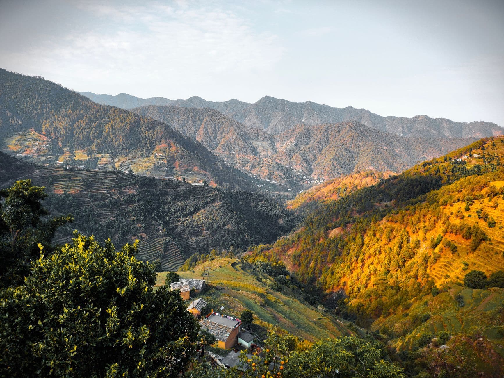 Forested Himalayan foothills with terraced slopes
