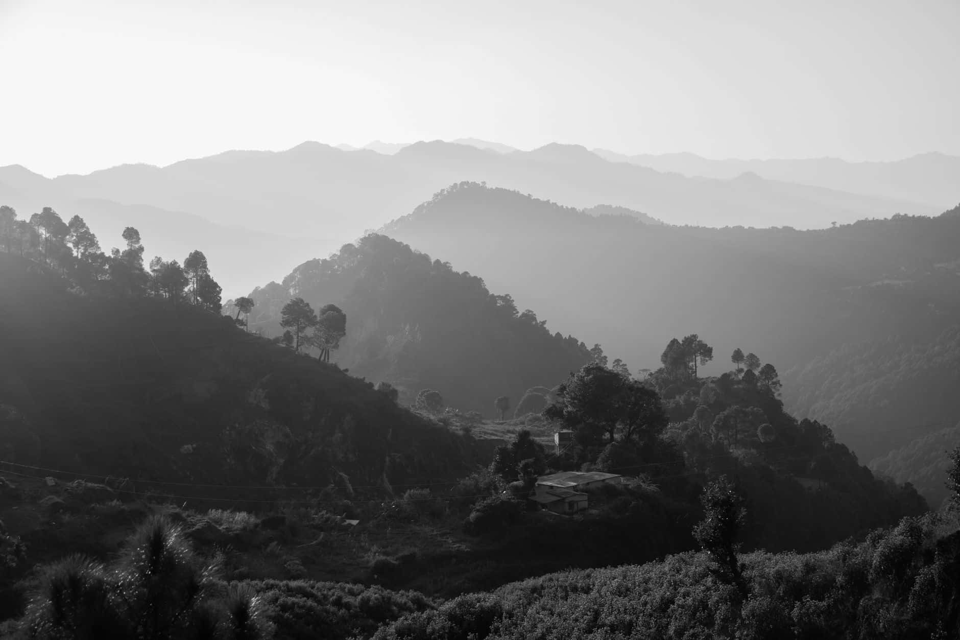 Mist rising over Himalayan slopes at dawn, the origin country of classical Ayurvedic botanicals